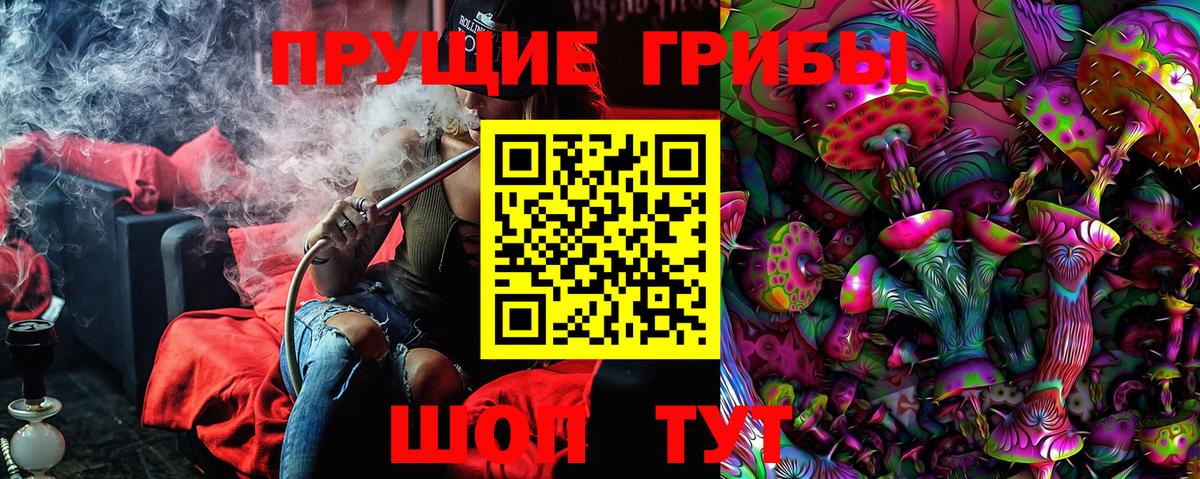 Псилоцибиновые грибы Psilocybine cubensis  Вход с VPN  Галлюциногенные грибы Psilocybine cubensis  Карпинск 